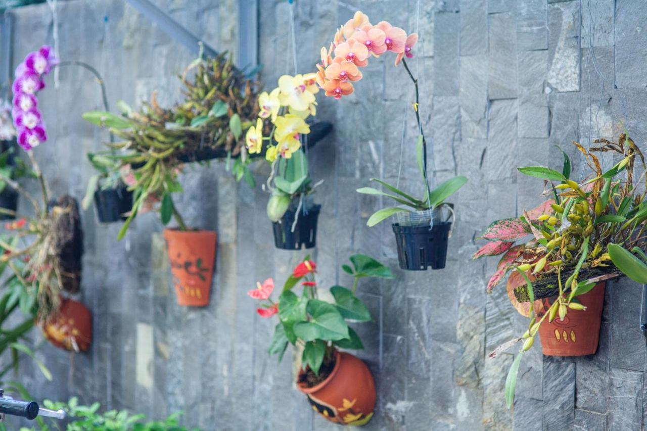 Flower Apartment Da Nang Bagian luar foto